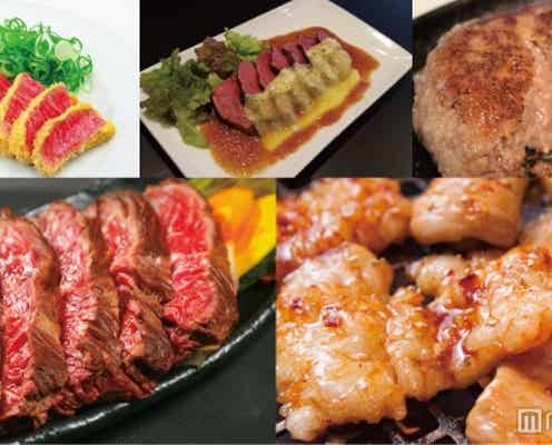 「肉フェス」お台場2016、東京初進出&食欲そそる新肉メニューが大量ラインナップ