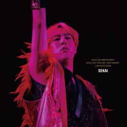世界「EXILE 20th ANNIVERSARY EXILE LIVE TOUR 2021“RED PHOENIX”LIVE PHOTO BOOK」表紙（提供写真）