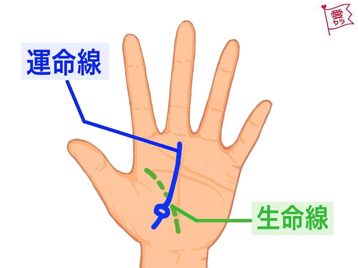 運命線が生命線の内側から伸び、下部に島がある