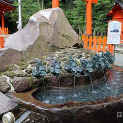 箱根神社の「龍神水舎」