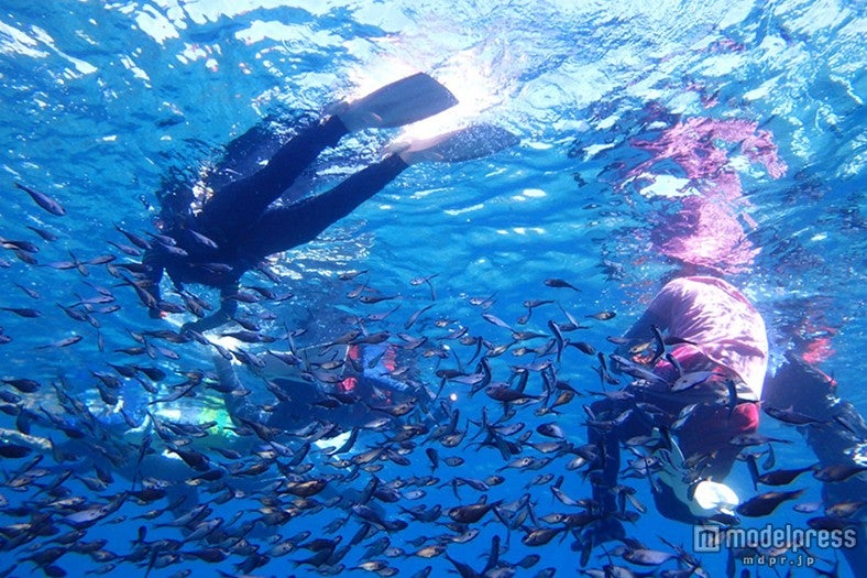 アクセスが格段に良くなった伊良部島でのダイビング