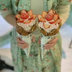 STRAWBERRY BOUQUET(期間限定)/画像提供:ASIAN RAD TEA COMPANY