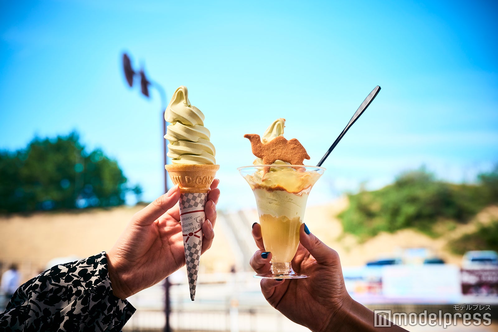 左）梨の味がしっかりと感じられる梨のソフトクリーム 300円（税込)、右）梨のミックスクリーム、自家製梨ゼリー、きな粉で砂丘をイメージした、砂丘サンデー 450円（税込）（C）モデルプレス