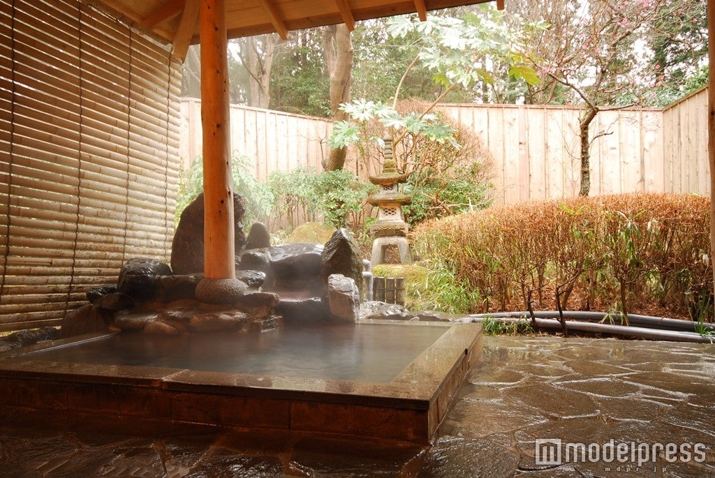 かけ流しの貸切専用露天風呂（ペットは不可）／画像提供：一の湯