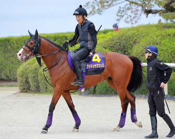 【皐月賞】アドマイヤクワッズ 3戦ぶりVへ好調アピール 友道師「いつも通り」 鬼門・8枠17番枠も「枠はどうしようもないから。一皮むけた姿を」