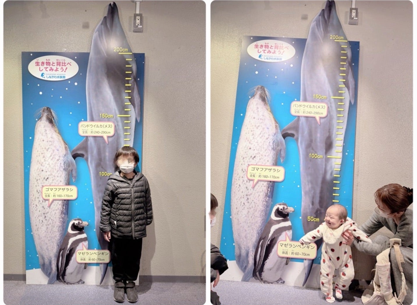 辻希美公式ブログより