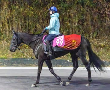 【新馬戦】フォーチュンライド 川田も高評価！雄大な牝馬 昨年好成績の福永厩舎も期待の一頭