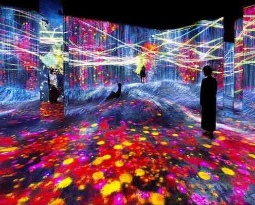 「チームラボボーダレス上海」開業、世界初公開含む約50の作品群