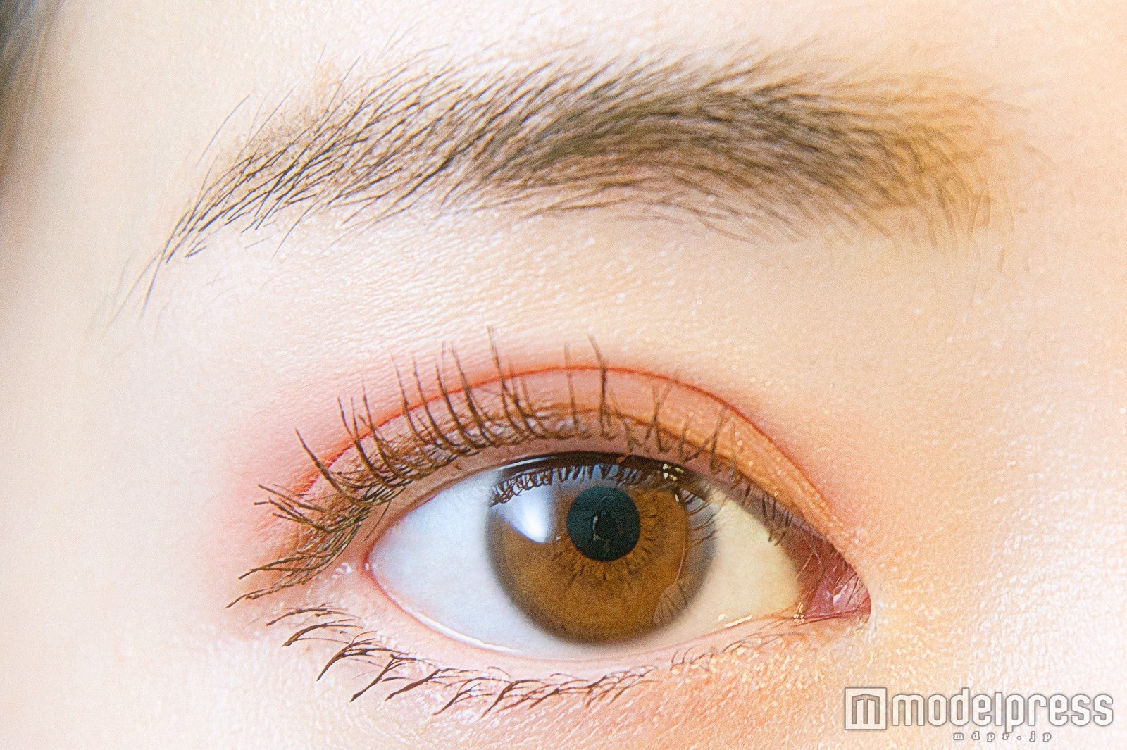 ルナソル マカロングロウアイズ01 Cassis（C）モデルプレス　※発色イメージ