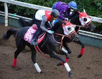 【アルテミスS】リスグロワール 軽快キビキビ 岡助手「しまいだけしっかりというイメージ」 母リスグラシューと同タイトルを