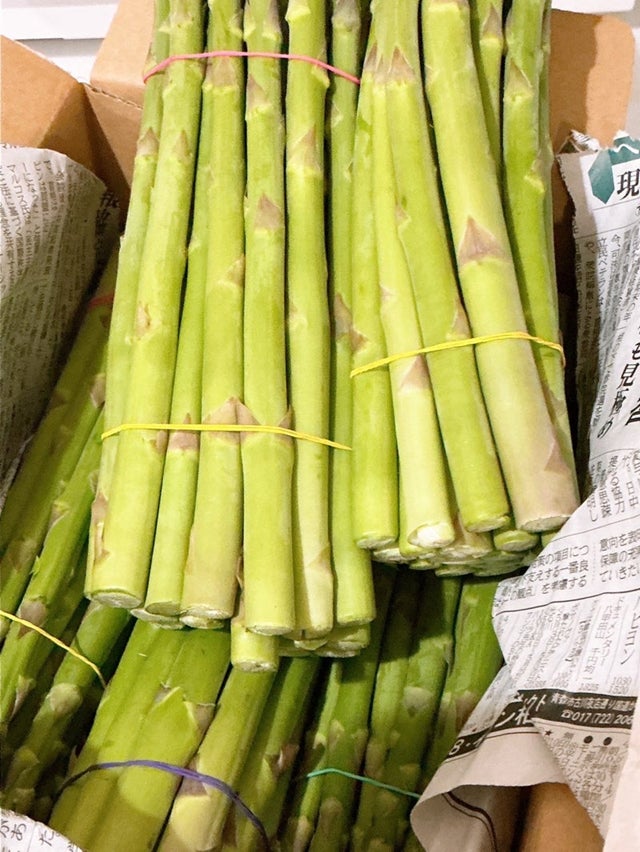 渡辺美奈代オフィシャルブログより