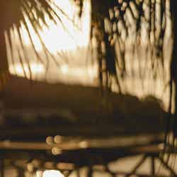 ユウナギ カフェ(提供写真)