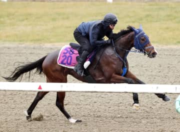 【デイリー杯クイーンC】モートンアイランド 態勢万全 ラスト1Fひと伸び11秒3 キング姐さんに導かれ桜へ