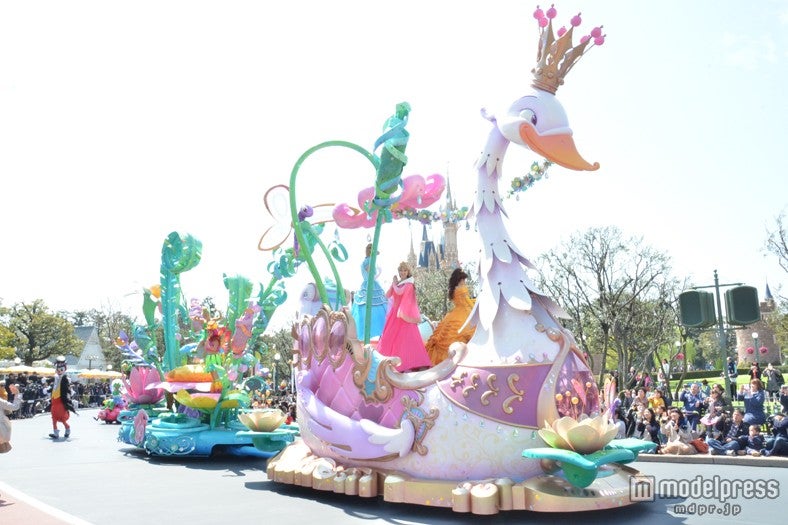 美しい白鳥のフロート／ハピネス・イズ・ヒア