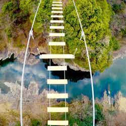 高いところが平気な方は是非キャニオンウォーク体験を(提供画像)