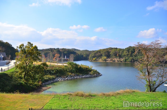 メッツァビレッジ（C）ビューティーガール