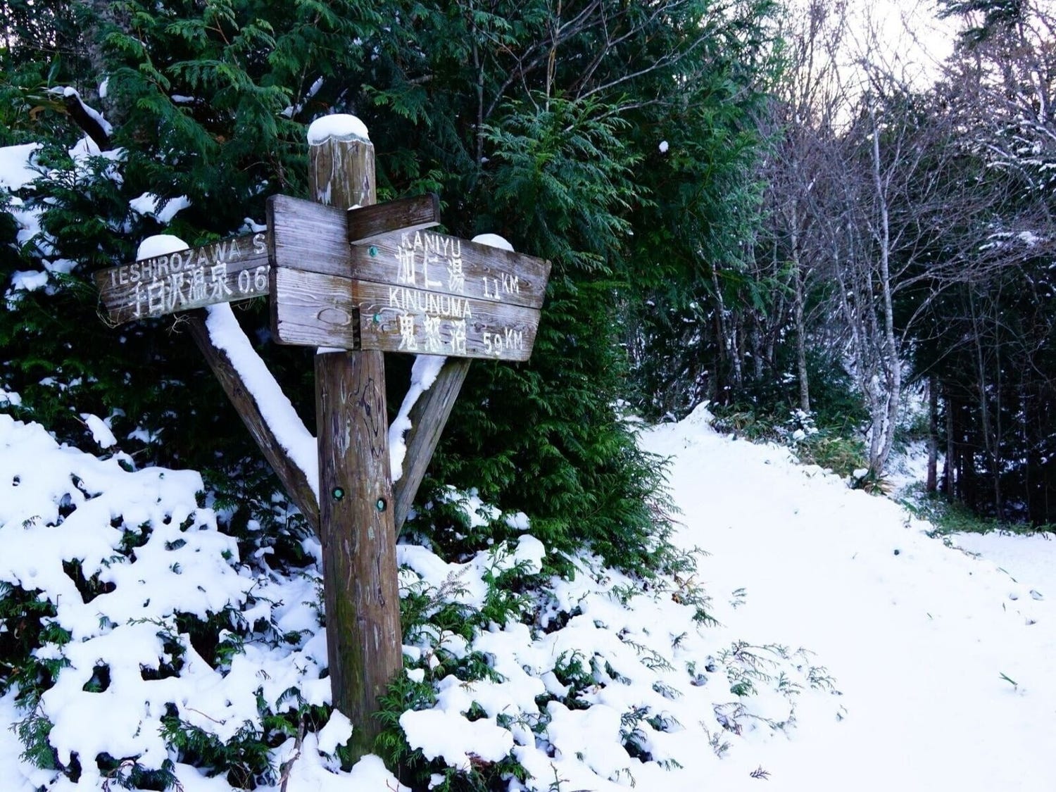 冬に行きたい「情緒あふれる秘湯・温泉街」ランキング! 2位「奥鬼怒温泉郷」、1位は?【専門家解説も】