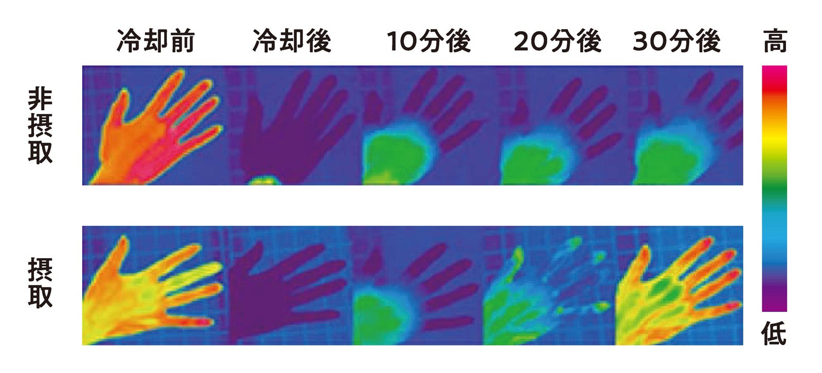 「モノグルコシルヘスペリジン」の非摂取時と摂取時の比較