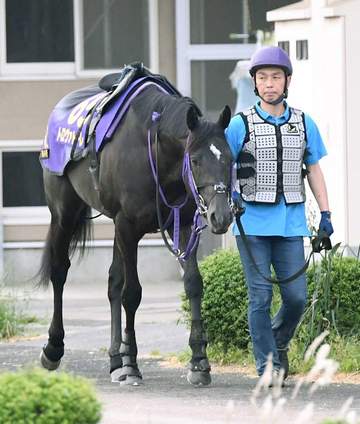 【安田記念】トロヴァトーレがG1再挑戦へ 5歳春に本格化、鹿戸師にも確かな手応え「今年は楽しみ」