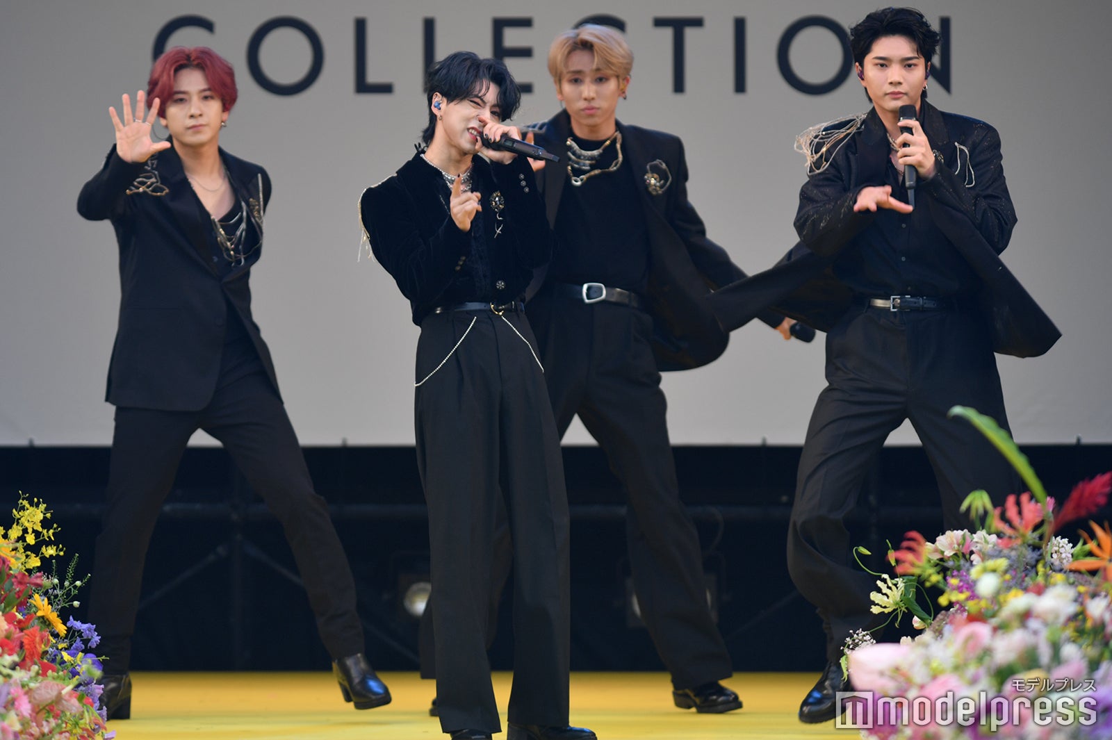 OWV（C）モデルプレス