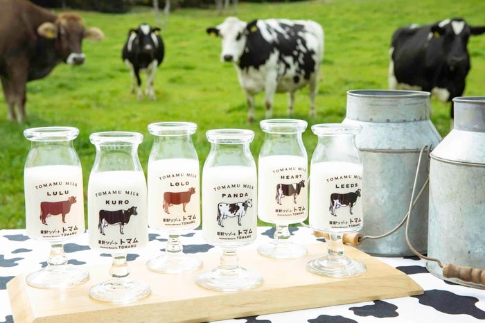 星野リゾート　トマム／画像提供：星野リゾート