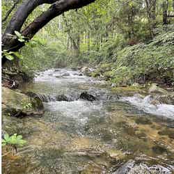 キャンプ場周辺の自然/画像提供:前橋園芸