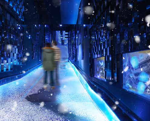 すみだ水族館で「雪とクラゲ」の新展示、浮遊するクラゲと都会の雪景色が調和