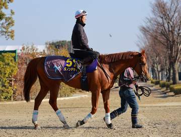 【大阪杯】ダノンデサイル 当日輸送がポイントか 内めからの発進に安田師「（戦法は）ジョッキーと相談」