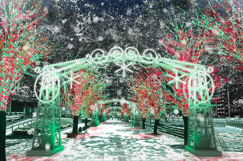 OSAKA光のルネサンス（C）大阪・光の饗宴実行委員会