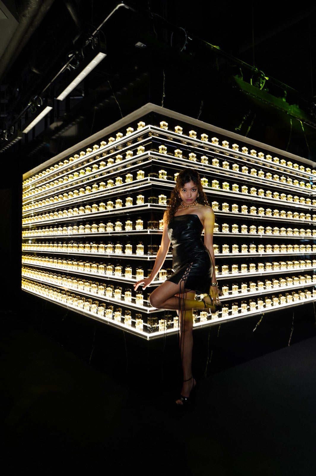 ローラ（提供写真）