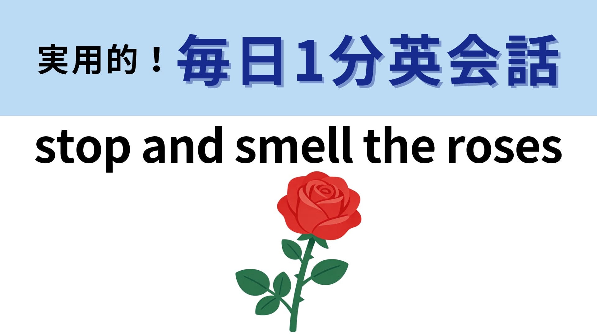 「stop and smell the roses」の意味は？バラの匂いを嗅ぐとどんな気分になる？【1分英会話】