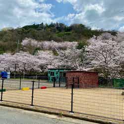 太子温泉/画像提供:宣伝館