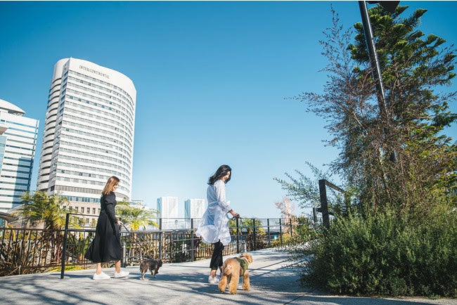 ドッグフレンドリールーム／画像提供：ベストホスピタリティーネットワーク