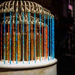 Warner Bros. Studio Tour London – The Making of Harry Potter.