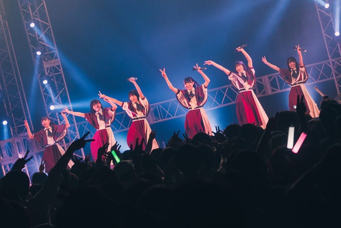 かすみ草とステラ/撮影:真島洸 (提供写真)