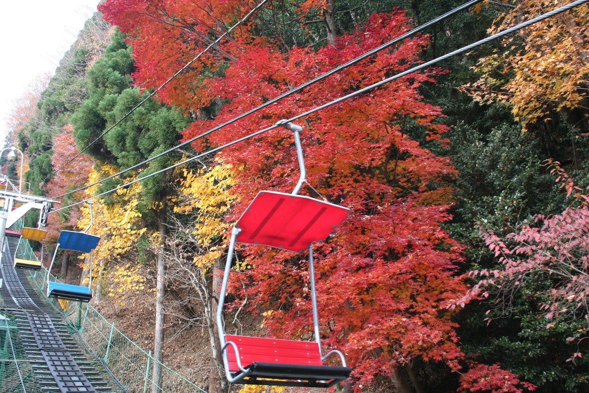 高尾山リフト（提供画像）