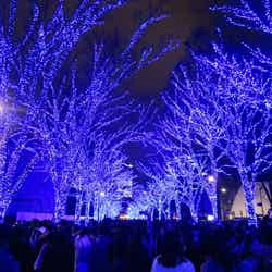 過去の様子/提供画像