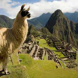 ペルーの世界遺産マチュピチュ／画像提供：ペルー政府観光庁