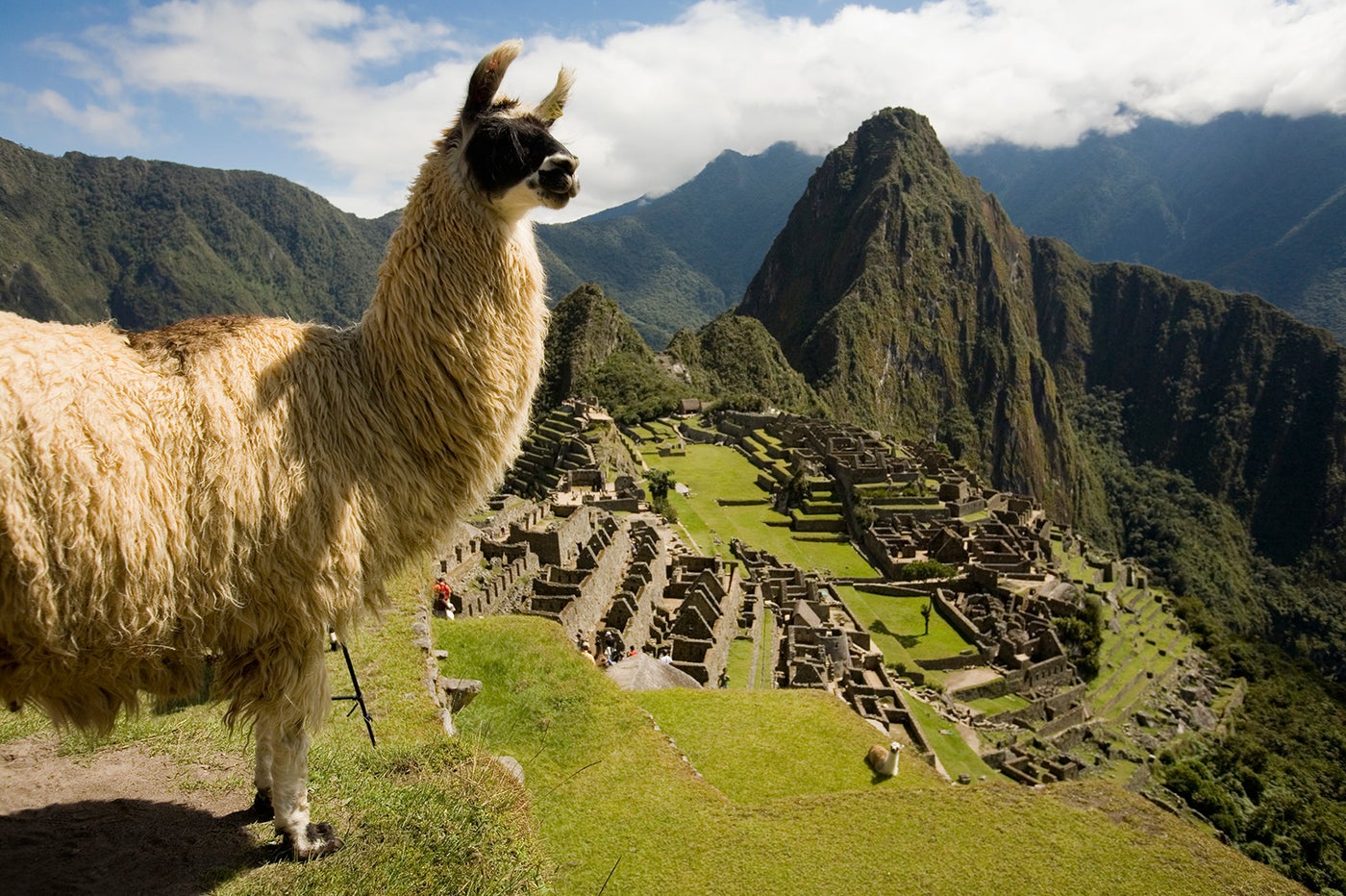 ペルーの世界遺産マチュピチュ／画像提供：ペルー政府観光庁