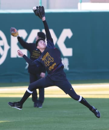 阪神・ドラ4早瀬 憧れ才木に弟子入り宣言 同じ空間で興奮「聞けることがあればなんでも聞きたい」