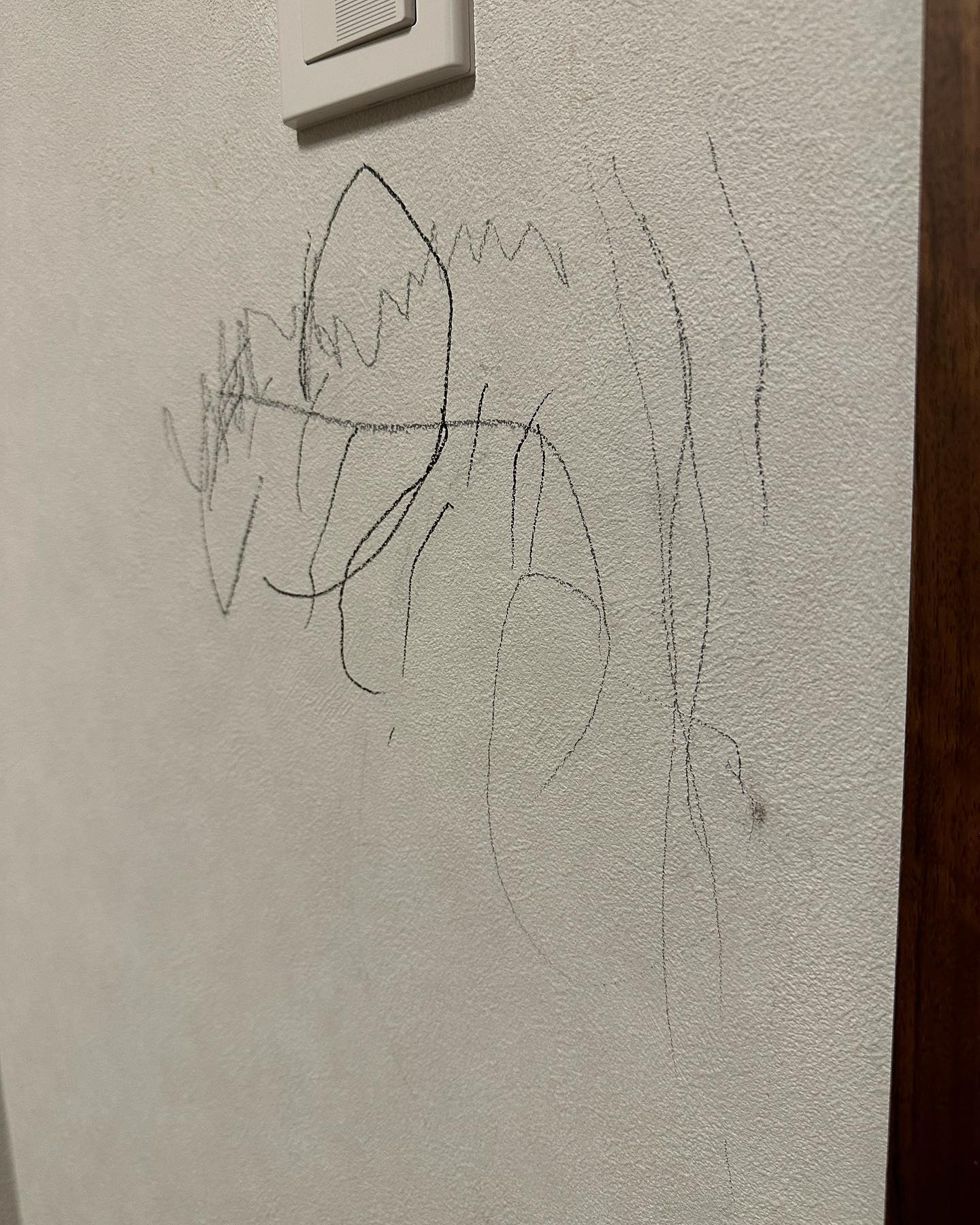 DAIGO Instagramより