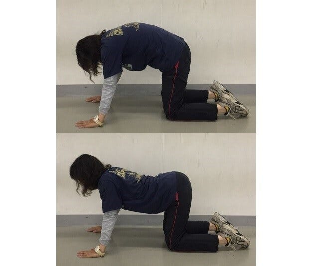 骨盤を動かし、股関節周辺部の動きをよくして腹部に適度な刺激を与える