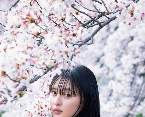 乃木坂46遠藤さくら、桜の下で儚げな雰囲気 1st写真集先行カット第4弾解禁