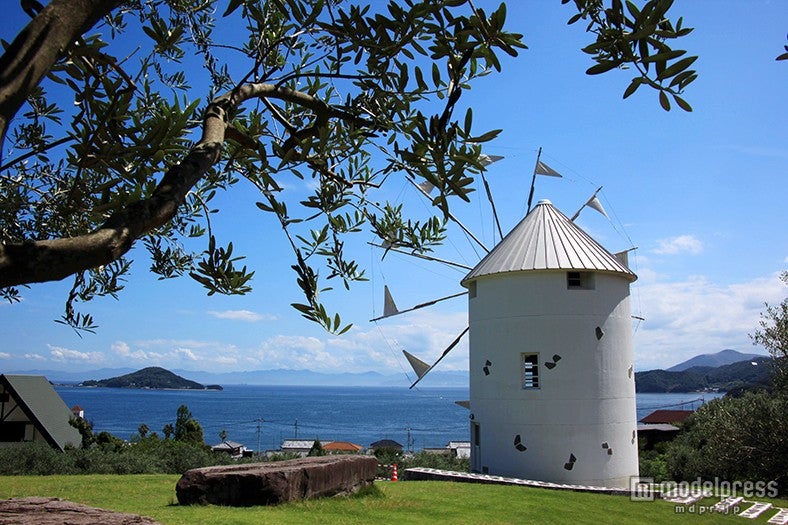 ギリシャのような風景が広がる「小豆島オリーブ公園」