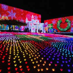 光の花の庭~Flower Fantasy(提供写真)