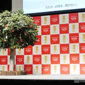 嵐 相葉雅紀 インスタ映えレシピ挑戦も ハプニング 発生 モデルプレス 嵐 相葉雅紀 インスタ映えレシピ挑戦も ハプニング 発生 モデルプレス