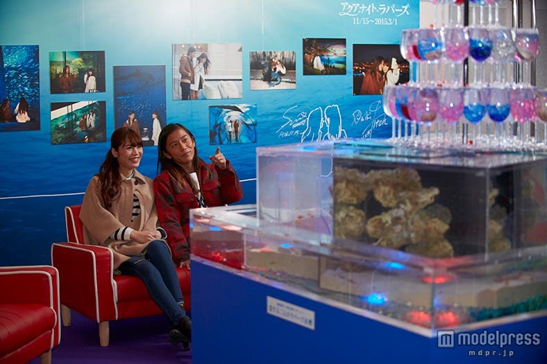 聖南さん&大輝さんプロデュース「ラバーズ水槽」/2人でラブラブ鑑賞