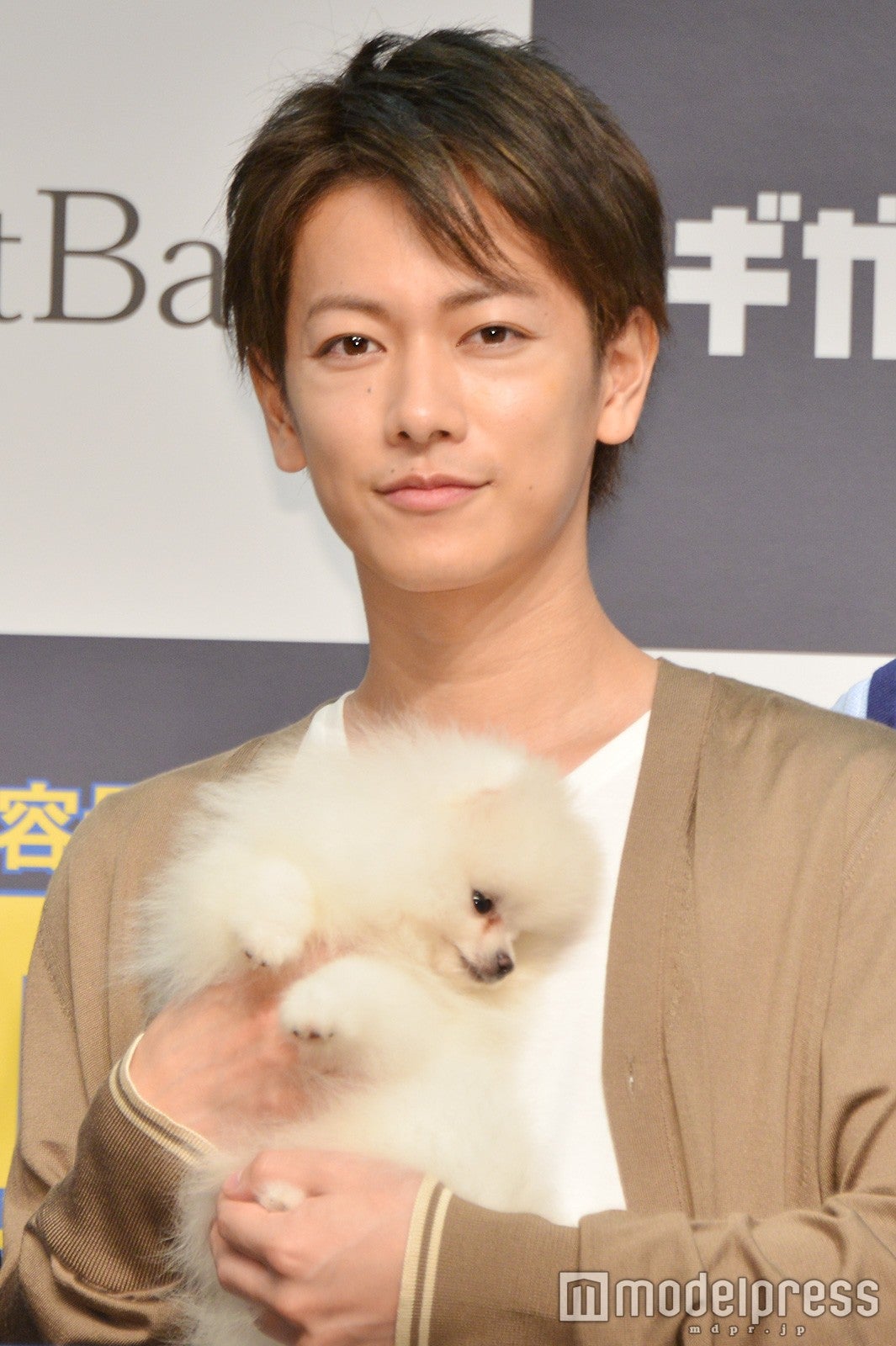 佐藤健「白戸家」で上戸彩の弟に 「鍛え直します」共演者からの“圧力”にタジタジ