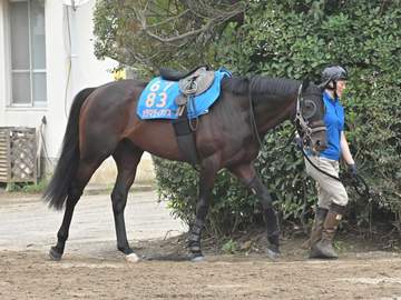 【七夕賞】カラマティアノス逆襲だ トップハンデもなんの！最強4歳世代が実力発揮へ データも唯一の全項目クリア