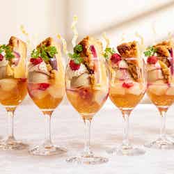 Splash Tart Gallery/画像提供:ヒルトン小田原リゾート&スパ